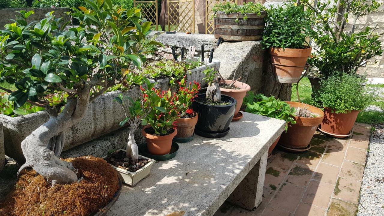רפולאנו טרמה San Paterno B&B מראה חיצוני תמונה