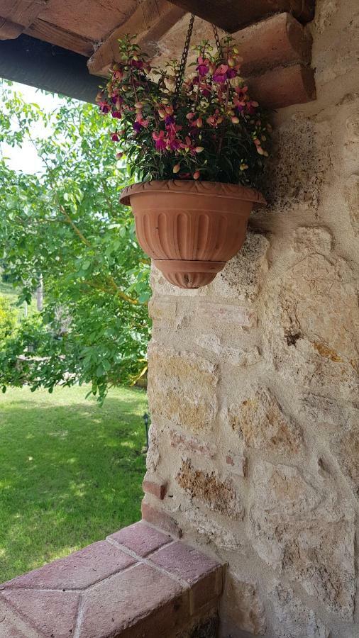 רפולאנו טרמה San Paterno B&B מראה חיצוני תמונה
